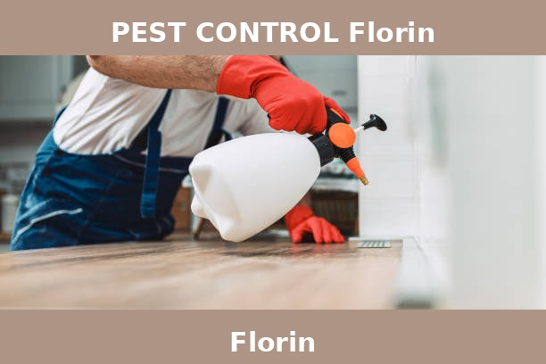 PEST CONTROL Florin